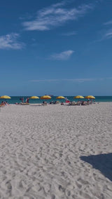 PUERTO RICO BLUE VIOLET